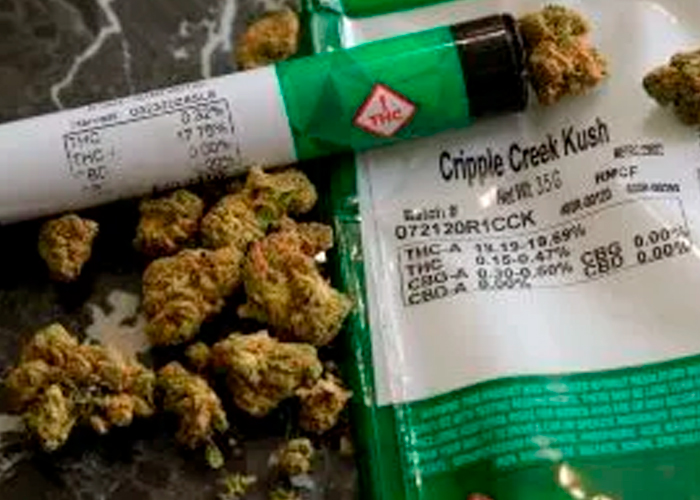 Nueva York entrega licencias para la venta legal de marihuana