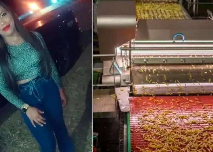 Falleció al caer en una trituradora de papas en Brasil