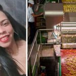 Falleció al caer en una trituradora de papas en Brasil