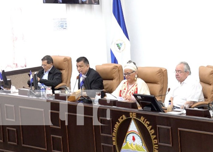Foto: Sesión parlamentaria en Nicaragua / TN8