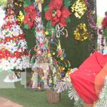 Foto: Árboles navideños hechos con reciclaje en colegios de Estelí / TN8