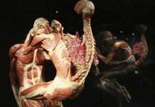 "Museo del Ser Humano": El más terrorífico y se encuentra en Colombia