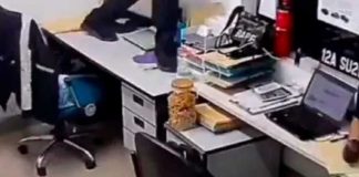 Reptil se mete a una oficina y así reaccionan los empleados (Video)