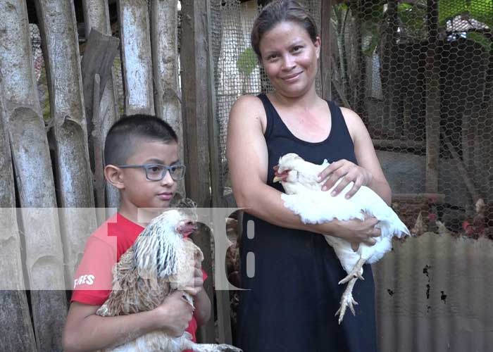 Emprendedoras de Boaco con grandes metas en la crianza de aves