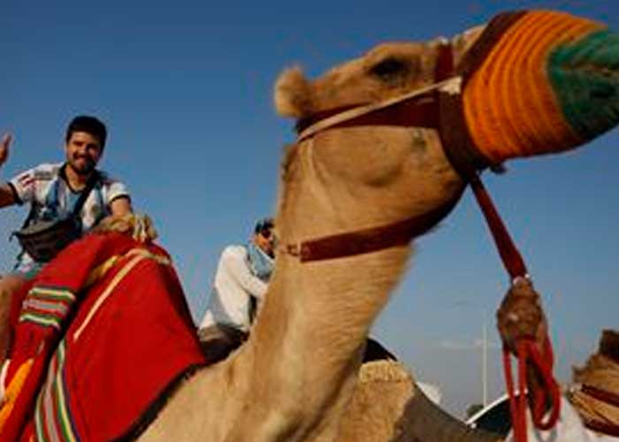 ¡Dios mío!: Registran un brote de gripe de camello