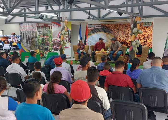 Inauguran el II Certamen Nacional Cacao de Excelencia en Matagalpa