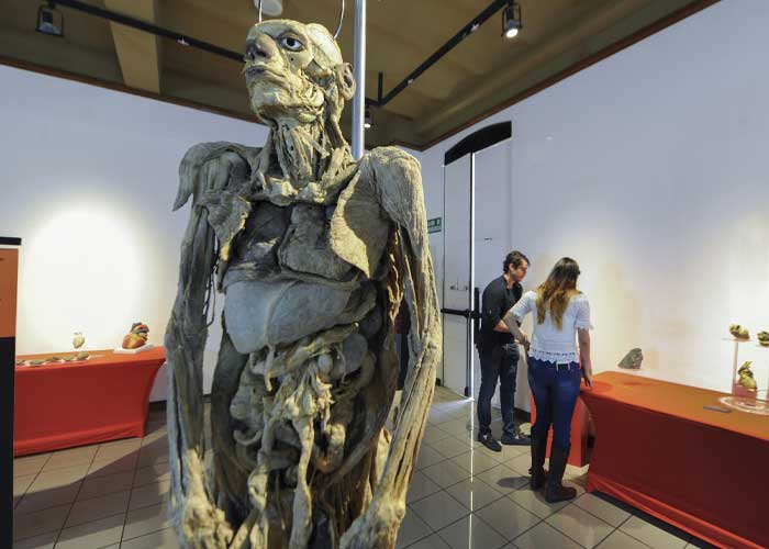 "Museo del Ser Humano": El más terrorífico y se encuentra en Colombia
