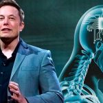 Elon Musk implantará "Neuralink" dentro del cerebro humano en seis meses