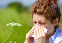 Tener calor en la nariz ayuda a combatir resfriados