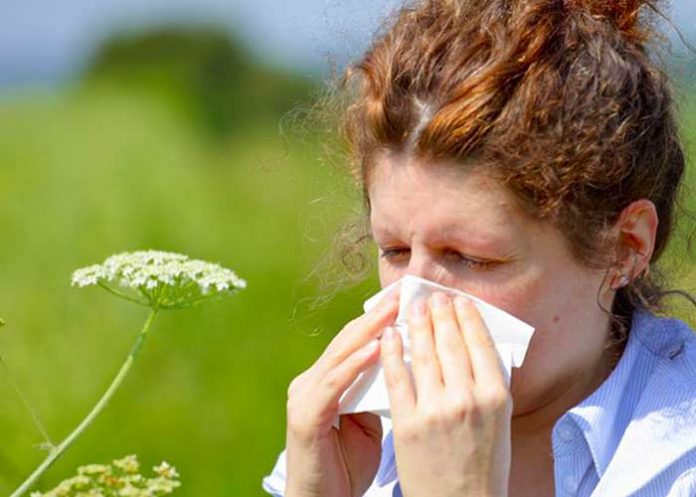 Tener calor en la nariz ayuda a combatir resfriados