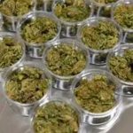 Nueva York abre su primer dispensario legal de marihuana