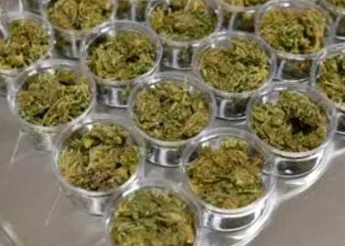 Nueva York abre su primer dispensario legal de marihuana
