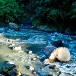 Nica murió en Costa Rica tras caer a un río luego de una convulsión mortal