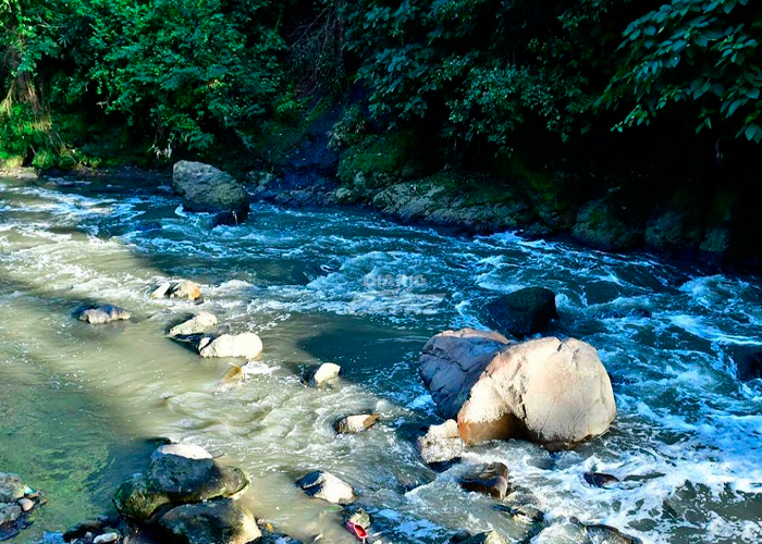 Nica murió en Costa Rica tras caer a un río luego de una convulsión mortal