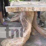 Foto: El arte de la "madera muerta" en Rivas / TN8