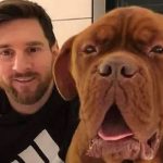 Foto: Hulk, el perro de Lionel Messi / Cortesía