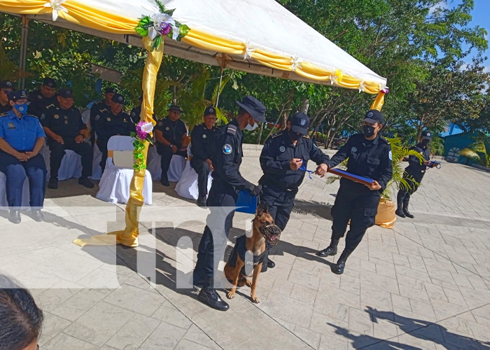 Nuevos policías de Nicaragua se dispondrán a realizar trabajo preventivo