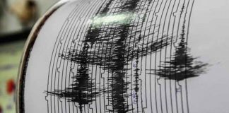 Sismo de magnitud 7,6 cerca de islas Tanimbar, Indonesia