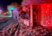 Seis muertos y seis heridos tras volcadura de autobús en San Luis Potosí, México