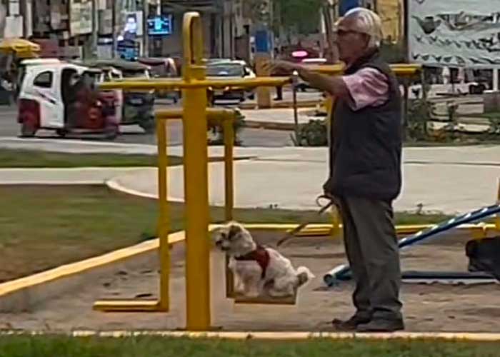 Abuelito mayor sale a columpiar a su perrito
