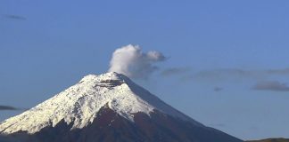 Volcán Cotopaxi emana columna de gases y ceniza en Ecuador