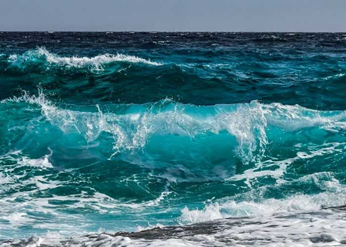 Océanos registraron nuevo récord de temperatura en 2022
