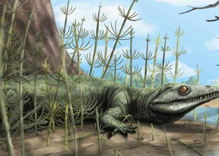 Este fue el primer reptil que vivió con los dinosaurios