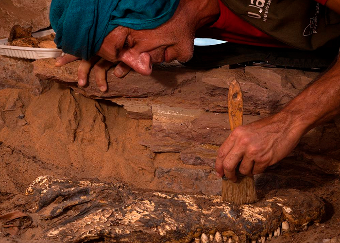 Arqueólogos hallan cocodrilos momificados en Egipto