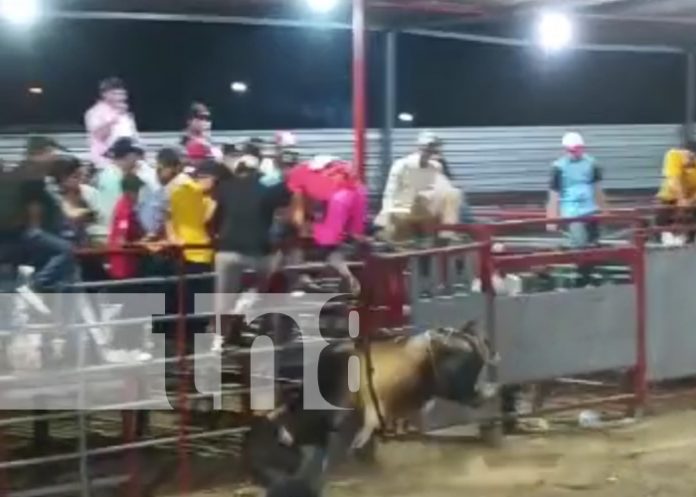 Foto: Tipitapeño perece tras ser corneado por un toro en la barrera 