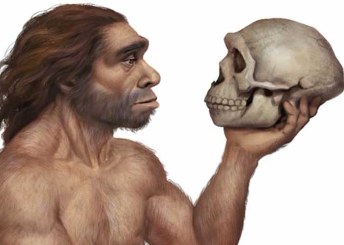 Como el depredador: neandertales utilizaban cráneos como trofeos luego de cazar