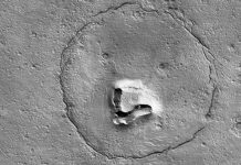 Científicos explican curiosa foto de "oso" en la superficie de Marte
