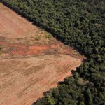 Deforestación de Amazonía brasileña aumentó 150% en diciembre