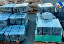 Hallan más de una tonelada de cocaína escondida en sacos de cacao en Barcelona