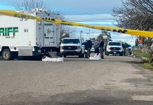 Seis muertos, incluidos una madre y su bebé, dejó un tiroteo en California