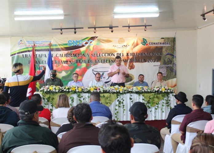 Primera Etapa de la Selección del Jurado Nacional para el Certamen Taza de Excelencia Nicaragua 2023