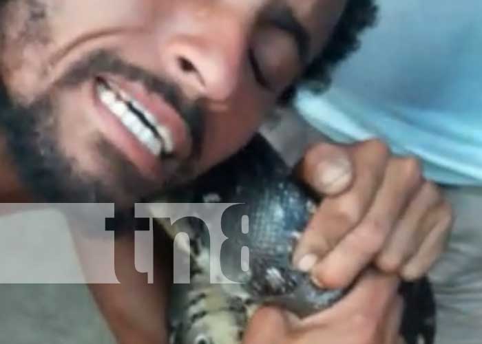 Foto: Hombre sufre "ataque" de una serpiente en San Benito, Tipitapa / TN8