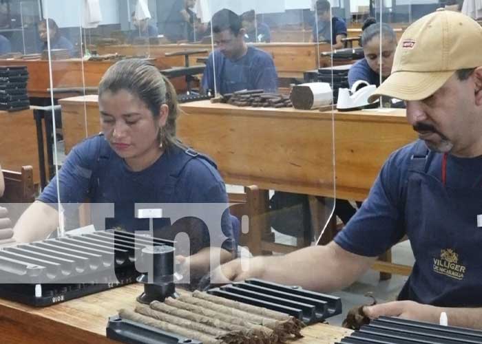 Foto: Millonaria inversión en Estelí para nueva fábrica de puros / TN8