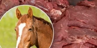 Mandan a la cárcel a 15 personas por venta de carne de caballo en Francia