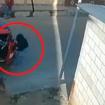 Mototaxi atropella niño que huía del feroz ataque de unos perros en Guatemala