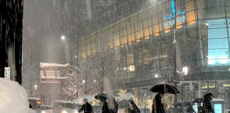Temperaturas mortal en Japon declaran alerta por brutal ola de frío