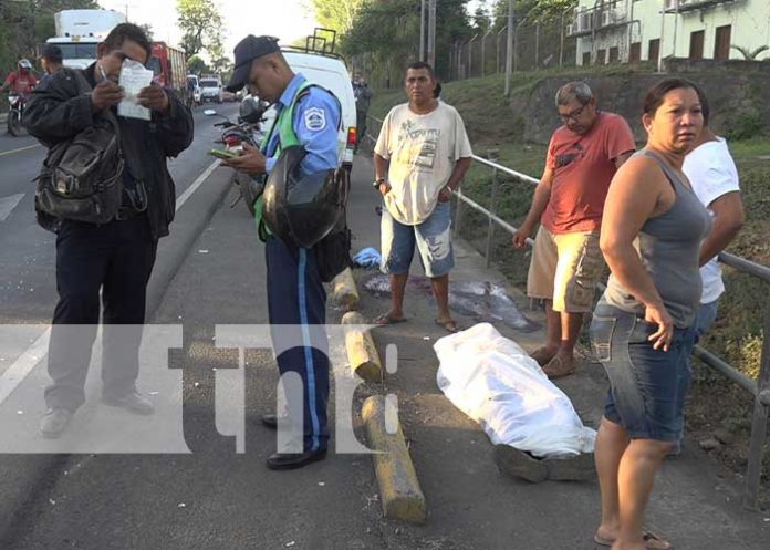 Foto: Hombre de la tercera edad muere atropellado en León / TN8