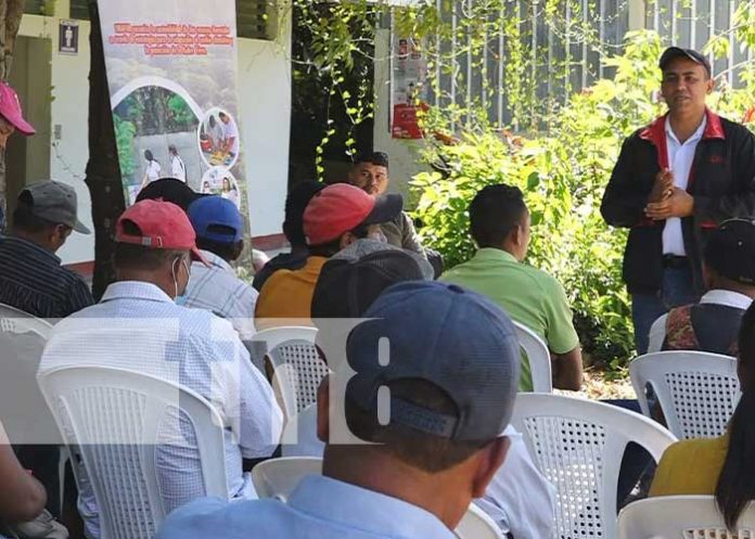 Foto: Productores forestales de Madriz reciben insumos / TN8