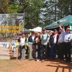 INTA inaugura finca experimental de recursos genéticos de pino en Madriz