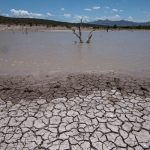 Registran múltiples afectaciones por sequía en el 80% de México