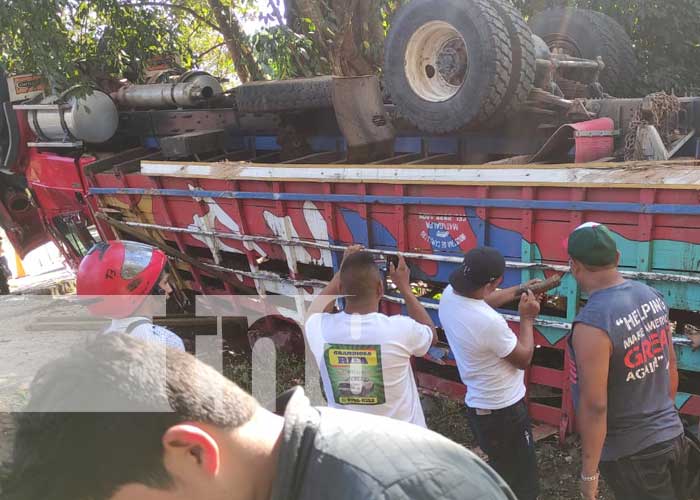 Foto: Camión ganadero sufre accidente en Matagalpa / TN8