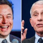 Foto: Elon Musk y Anthony Fauci / GETTY