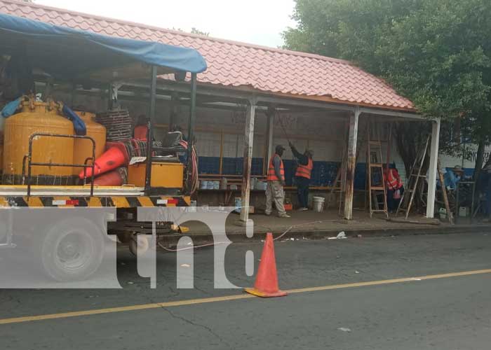 Foto: Mejoramiento de paradas de buses en Managua / TN8