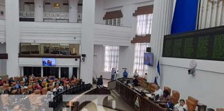 Foto: Parlamento de Nicaragua en sesión especial / TN8