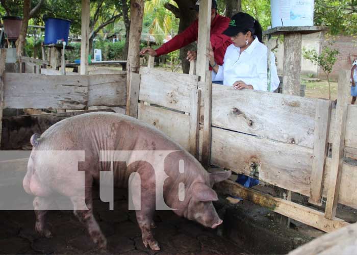 Foto: Visita de autoridades del MAG a Nandaime y Diriomo / TN8