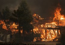 Foto: Aumentan a 22 las víctimas por incendios forestales en Chile / Cortesía